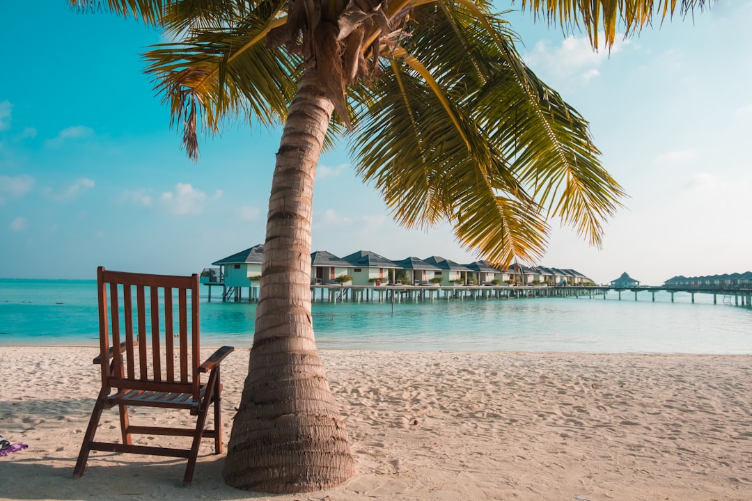 ameliaglobaltravels-c